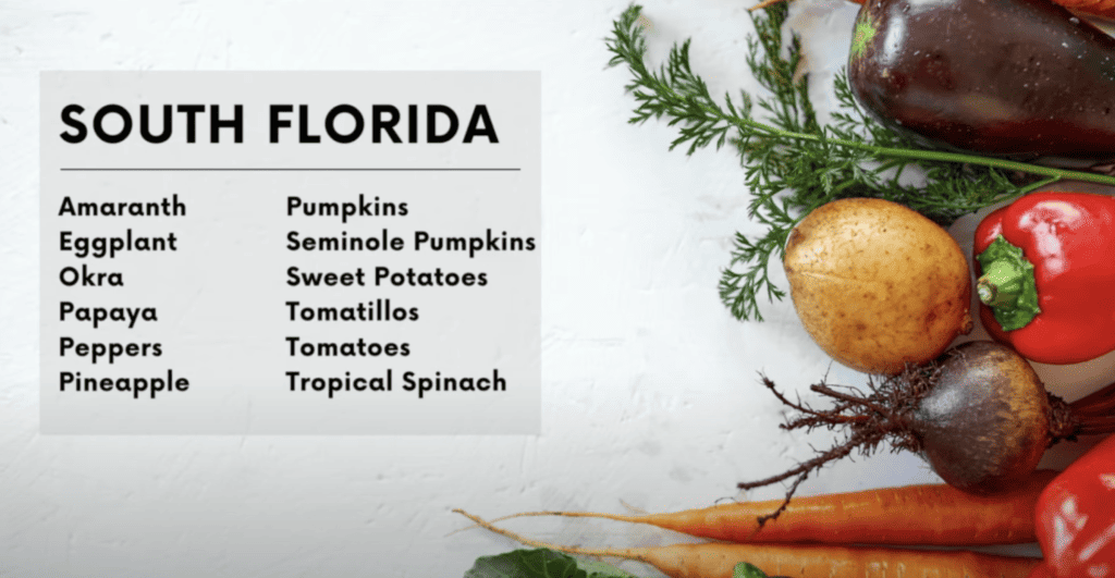 What to grow in South Florida in August